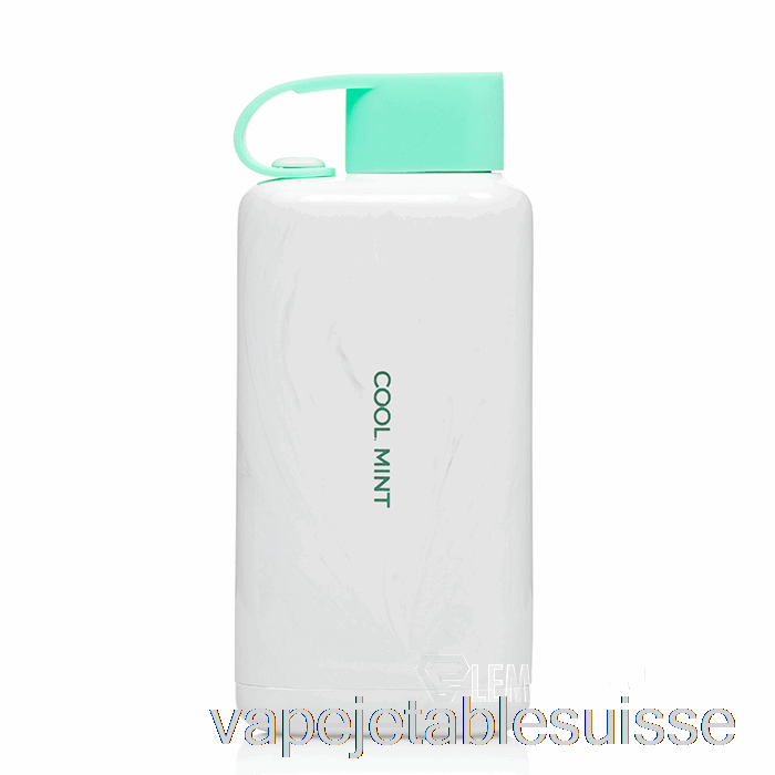 Vape Suisse Vozol Star 9000 Jetable Menthe Fraîche